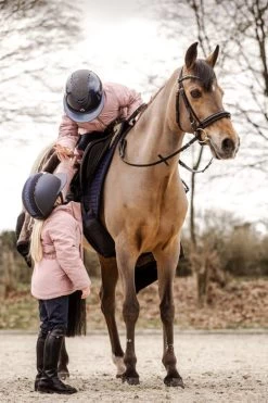 Suedwind Footwear Nova Fun Tall Boots 15 Suedwind Footwear Nova Fun Tall Boots -Sports - Equestrian Riding Shop 1T174 099 07