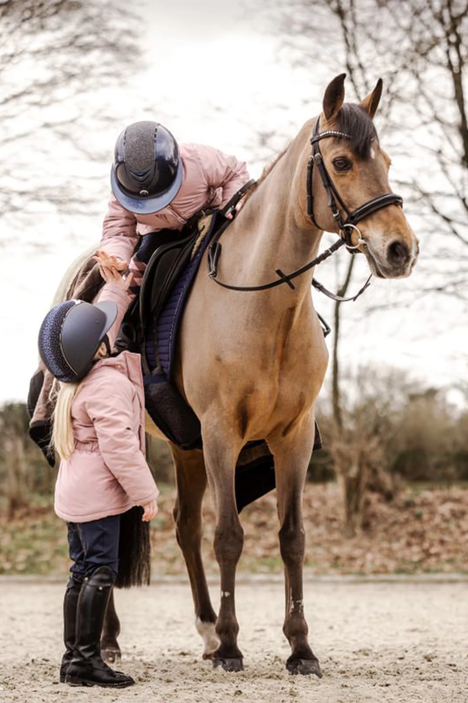 Suedwind Footwear Nova Fun Tall Boots 9 Suedwind Footwear Nova Fun Tall Boots - Image 7