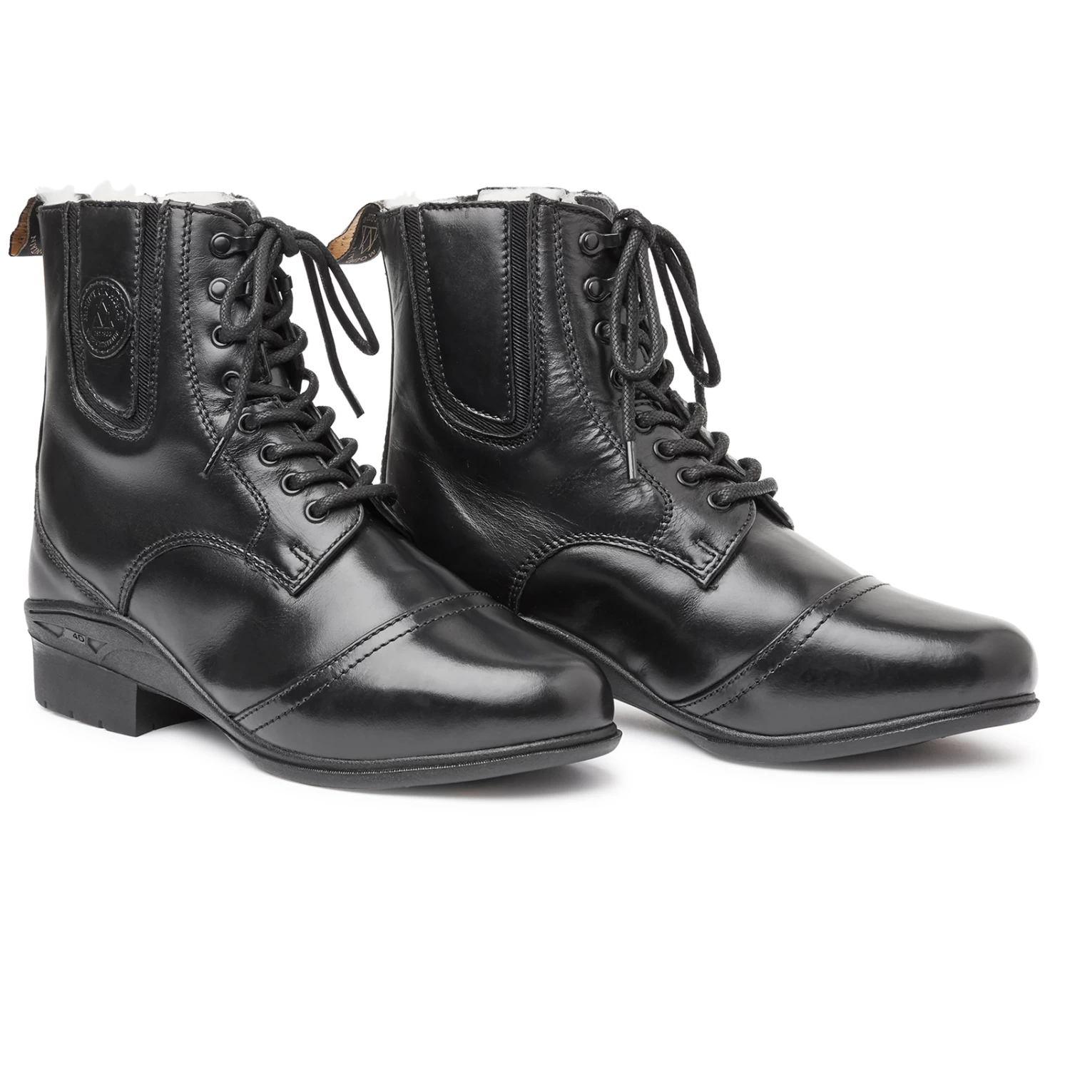 Mountain Horse Aurora Winter Paddock 3 Mountain Horse Aurora Winter Paddock