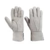 Horze Lana Sheepskin Riding Gloves -Sports - Equestrian Riding Shop 31548 BDG 1