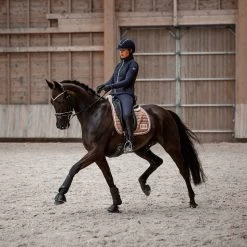 B Vertigo Milan Leather Thermo Riding Gloves 20 B Vertigo Milan Leather Thermo Riding Gloves -Sports - Equestrian Riding Shop 31584 BL 7