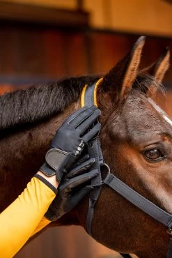 Horze Isa Women's Summer Riding Gloves -Sports - Equestrian Riding Shop 31741 590 06