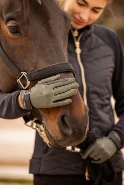 B Vertigo Laia Women's Riding Gloves With Logo Print 32 B Vertigo Laia Women's Riding Gloves With Logo Print -Sports - Equestrian Riding Shop 31745 630 06