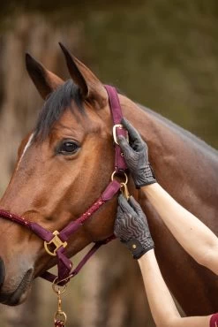 Horze Elenor Women's Mesh Riding Gloves -Sports - Equestrian Riding Shop 31748 753 07