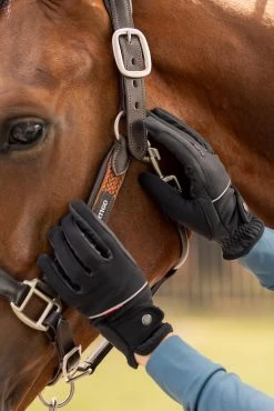 B Vertigo Rahel Winter Riding Gloves -Sports - Equestrian Riding Shop 31758 085 06
