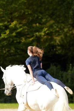 Ariat Ascent Women's Knee Grip Tights 35 Ariat Ascent Women's Knee Grip Tights -Sports - Equestrian Riding Shop 337697 DB 7