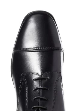 Ariat Palisade Women's Tall Riding Boots -Sports - Equestrian Riding Shop 337732 BL 05