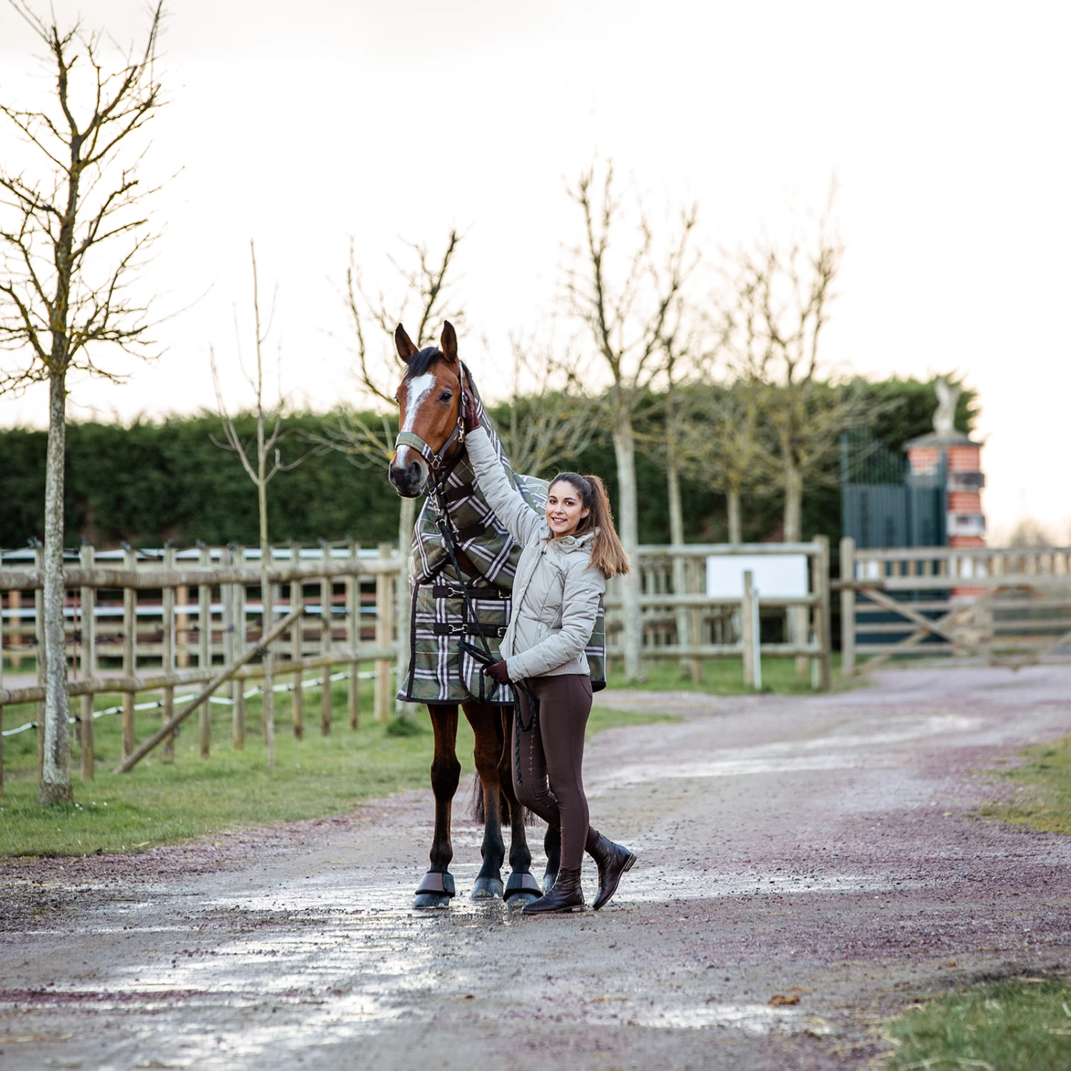 Horze Desiree Women's Silicone Full Seat Breeches Belt Loops 9 Horze Desiree Women's Silicone Full Seat Breeches Belt Loops - Image 7