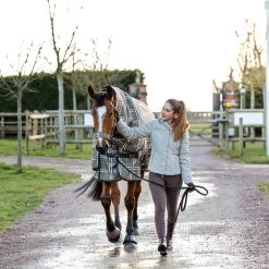 Horze Desiree Women's Silicone Full Seat Breeches Belt Loops 29 Horze Desiree Women's Silicone Full Seat Breeches Belt Loops -Sports - Equestrian Riding Shop 36055 BRBR 8