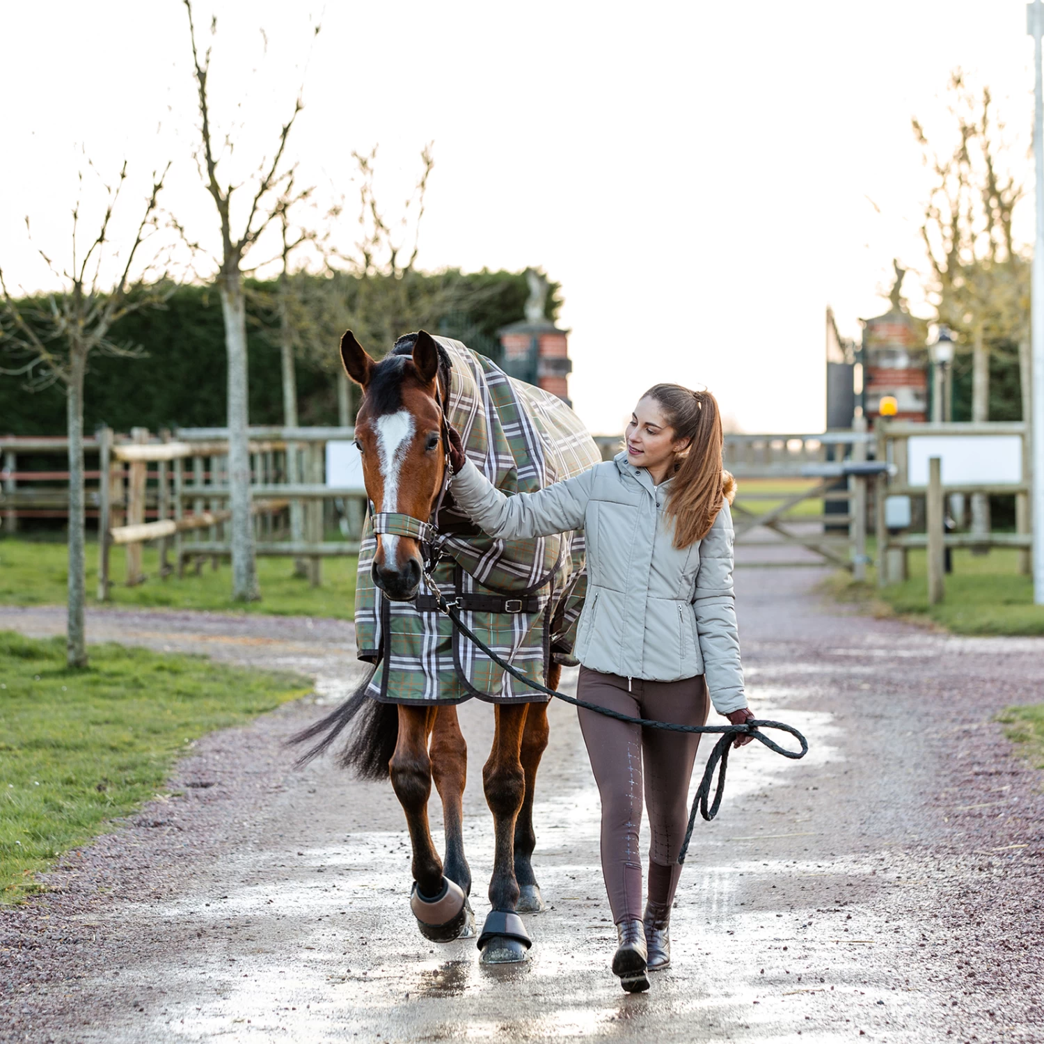 Horze Desiree Women's Silicone Full Seat Breeches Belt Loops 10 Horze Desiree Women's Silicone Full Seat Breeches Belt Loops - Image 8