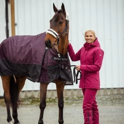 B Vertigo Dana Padded Thermo Breeches For Women -Sports - Equestrian Riding Shop 36058 BTRE 6