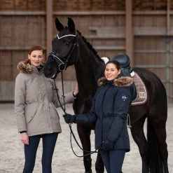 B Vertigo Tiffany Thermo Silicone Full Seat Breeches For Women 35 B Vertigo Tiffany Thermo Silicone Full Seat Breeches For Women -Sports - Equestrian Riding Shop 36494 VDB 7