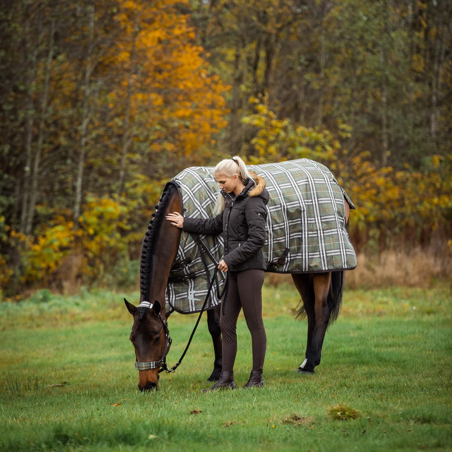 Horze Sienna Women's Silicone Full Seat Breeches 14 Horze Sienna Women's Silicone Full Seat Breeches - Image 12