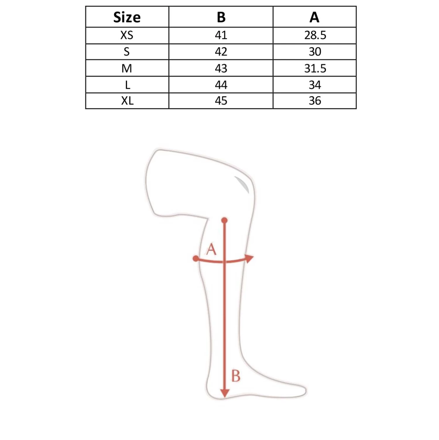 Horze Quinton Leather Half Chaps 8 Horze Quinton Leather Half Chaps - Image 6