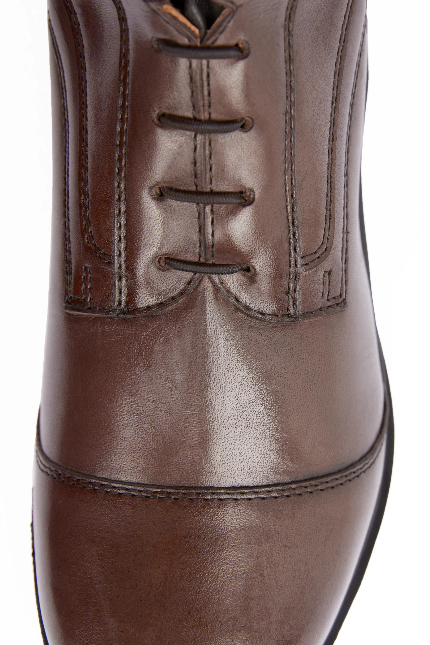 B Vertigo Vega Women's Field Tall Boots 15 B Vertigo Vega Women's Field Tall Boots - Image 13