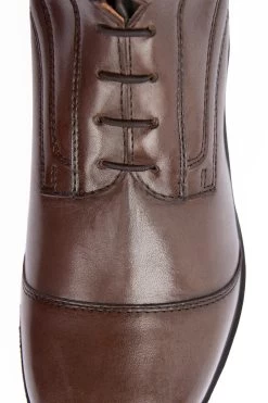 B Vertigo Vega Teenage Field Tall Boots -Sports - Equestrian Riding Shop 39108 DBR 6