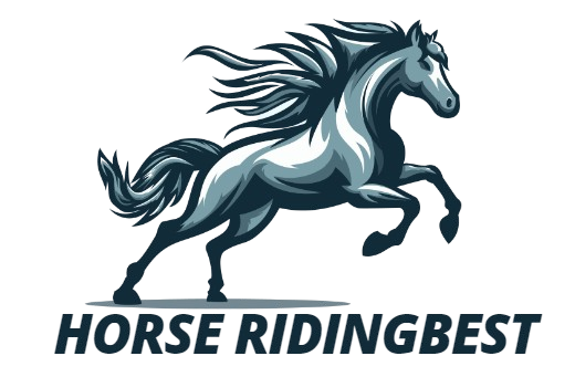 Sports – Equestrian Riding Shop